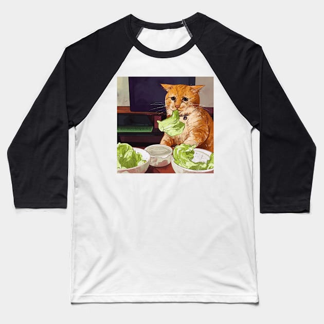 cat in a diet Baseball T-Shirt by gristiannn